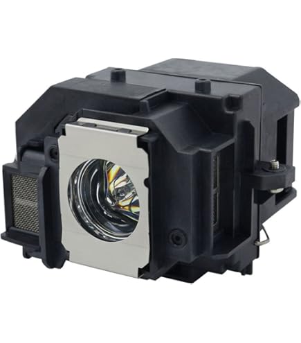 Amazon.co.jp: キヤノン WUX6000用交換ランプ RS-LP09 : 家電＆カメラ