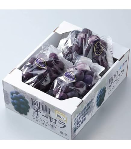 岡山県産オーロラブラック 4房 Amazon.co.jp: ぶどう オーロラブラック 種なし 秀品 約2kg 4～5房 JA