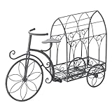 Paseo Iron Bicycle AT-79A