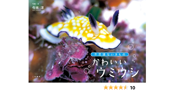 不思議ないきもの かわいいウミウシ 今本 淳 今本 淳 写真 Kindleストア Amazon
