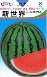 【種子】スイカ 新世界 約8粒