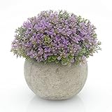 velener Miniプラスチック人工松ボールトピアリーPlant Pots for Home Decor (パープルクローバー)