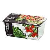聖新陶芸 デリッシュガーデンダブル イタリアンセット(バジル・ミニトマト)