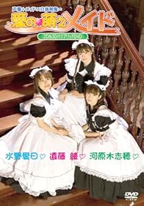 愛の萌えメイド [DVD]