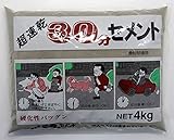 家庭化学工業:超速乾３０分セメント グレー 4kg hc3591054000