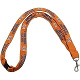 新しい。Illinois Fighting Illini安全クリップLanyard NCAAキーIDバッジホルダー