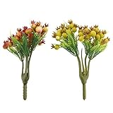 Homyl シミュレーション　多肉植物　人工エチェリア雪蓮　実生植物