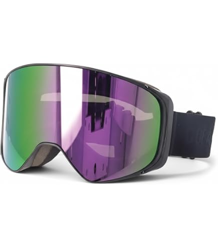 VONZIPPER MACH VFS ゴーグル BFC 2025 VONZIPPER ボンジッパー MACH VFS マッハ VFS スノーボード