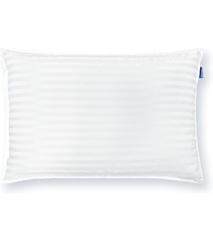 Amazon｜Supreme(シュプリーム)/Overfiend Pillow[Black]2015A/W 前田