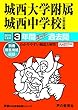 117城西大学附属城西中学校 2019年度用 3年間スーパー過去問 (声教の中学過去問シリーズ)