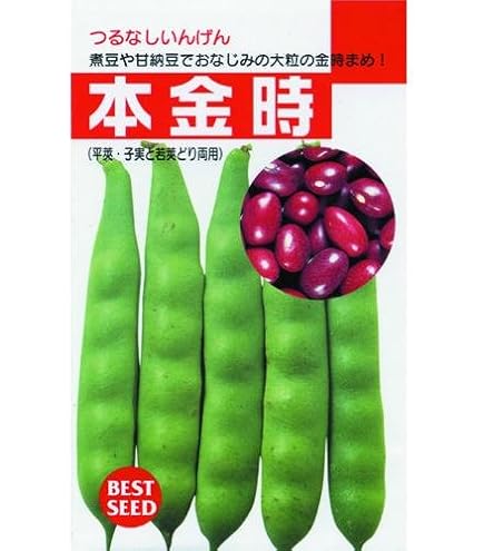 Amazon | 株式会社トーホク インゲン パンダ豆 01500 | 野菜