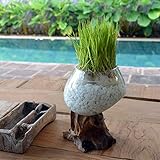 ガラス 古木 フラワーベース （スノーストーン付き） 【 花器 モダン 水鉢 プランター アジアン雑貨 】