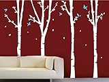 Pop Decors PT-0136-1-Ve Beautiful Wall Decal, Birch Trees by Pop Decors