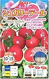 ミニトマト種子・シュガリーテール（15粒）
