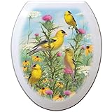 Comfort Seats C1B4E2-779-00CH Golden Glories Elongated Toilet Seat with Chrome Alloy Hinge, White by