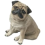 High Quality Mid Size Fawn Pug Sculpture, Sitting