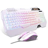 HAVIT HV-KB558CM LED有線 ゲームキーボードとマウスセット 多色のバックライト US Layout (白い)