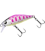 ダイワ DAIWA 春渓 硬調 52M-V 52→47→42 61hvvbriWgL._UF350,350_QL50_.jpg