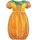 YiZYiF Baby Girls Boutique Pumpkin Fairy Dress Halloween Christmas Fancy Costume 4-5 [並行輸入品]