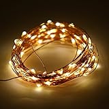 ER CHEN(TM)Indoor and Outdoor Waterproof Battery Operated 100 LED String Lights on 33 Ft Long Ultra 