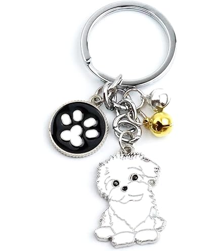 Amazon.co.jp: 犬 夜 叉 四魂の玉キーホルダー : ファッション