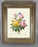 BiblioArt Series　P.J.ルドゥーテ 「バラ各種と蝶」 金縁額装品