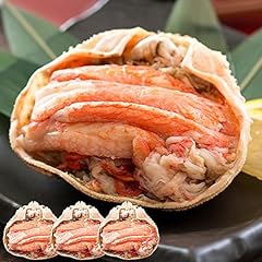 港ダイニングしおそう ズワイガニ 甲羅盛り 中サイズ×3個（甲羅横幅 約11cm）日本海産 ずわい蟹 海鮮 ずわい甲羅盛り ズワイ ずわい 高級グルメ 食品 食べ物 お中元 御中元