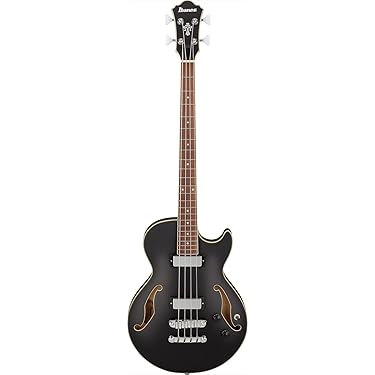 Amazon.co.jp 売れ筋ランキング: アコースティック・エレアコ