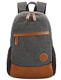 Leaper Causal Style Canvas Laptop Bag/ Shoulder Bag/ School Backpack/ Travel Bag/ Handbag (Dark Gray