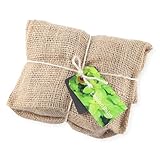 Euvo Design Jute Plant Plain レモンバーム PJ90009