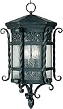 Maxim Lighting 30128CDCF Three Light Country Forge Seedy Glass Hanging Lantern, Black [並行輸入品]