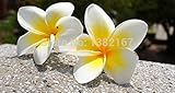 ウェディングパーティーの装飾ロマンスのために30個の種子プルメリアハワイアンフォームプルメリアの花