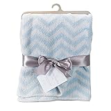 Living Textiles Chevron Blanket, Blue by Living Textiles [並行輸入品]