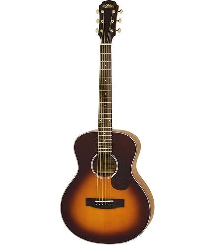 Amazon | ARIA ARIA-151 MTN ミニアコースティックギター | スチール弦