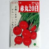 在来固定種　野菜の種「赤丸二十日大根〔ラディッシュ〕」５ml約340粒　畑懐〔はふう〕