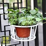 インテリア　アイアン調　ガーデニングラック　フック付き　壁掛け　プランター　鉢植え　観葉植物　フラワー　スタンド (ホワイト)
