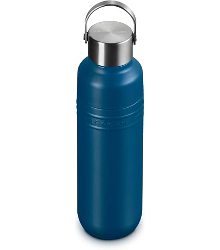 Amazon.co.jp: Klean Kanteen (クリーン カンテーン) リフレクト