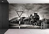 wall26 - 自己粘着壁紙 大きな壁画シリーズ 100"x144" WMR-WP-X-D052-100x24x6