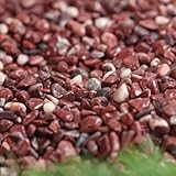 紅桜 20kg（11.1L）×30袋セット【600kg】