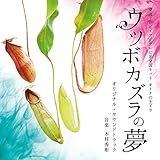 ���C�e���r �I�g�i�̓y�h�� �E�c�{�J�Y���̖� �I���W�i���E�T�E���h�g���b�N