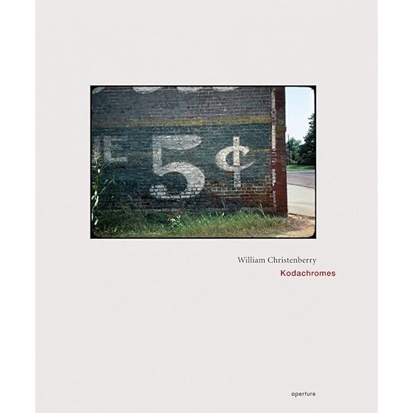 Amazon | William Eggleston: Morals of Vision | Eggleston, William