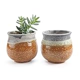 T4U 2.75 インチ 陶器鉢 サマートリオ NO.2 多肉植物 サボテン鉢 フラワーポット プランター容器 黄 2個入り