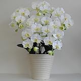 光触媒の胡蝶蘭 鉢植え 造花 アートフラワー Mサイズ-5本立 H70cm(白/花弁・黄-白鉢)