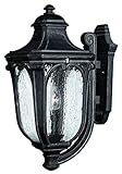 Hinkley Lighting 1315MB Trafalgar Outdoor Light, Museum Black [並行輸入品]