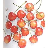 果樹苗 サクランボ 高砂 ( たかさご ) 1年生苗