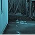 image(初回限定盤)