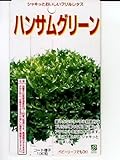 ハンサムグリーン　　横浜植木のフリルレタスの種です