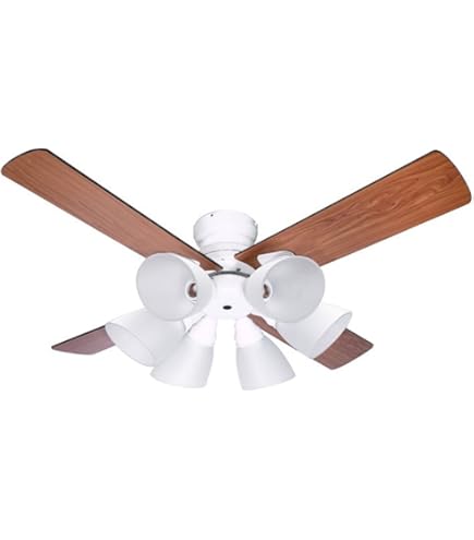 【美品】plusmore(プラスモア) シーリングファン BIG-102 6灯 big-102_de_01.jpg