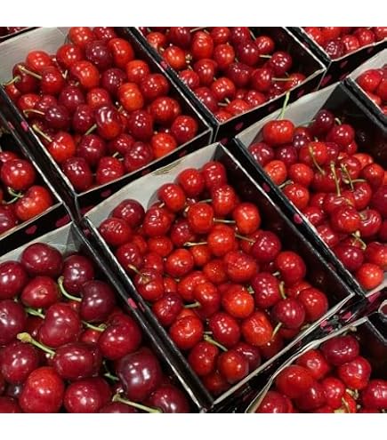 Amazon.co.jp: アメリカ産 アメリカンチェリー 4kg : 食品・飲料・お酒