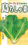フタバ種苗 【うちな~交配】 沖縄 島ちしゃ菜 (葉菜) 種・小袋詰(3ml)